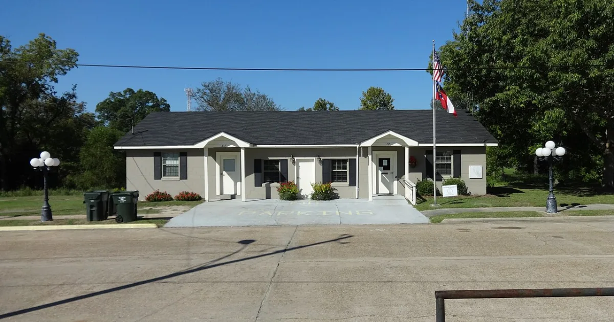 city in Wilcox County, Georgia, United States