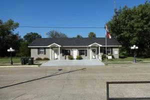 city in Wilcox County, Georgia, United States