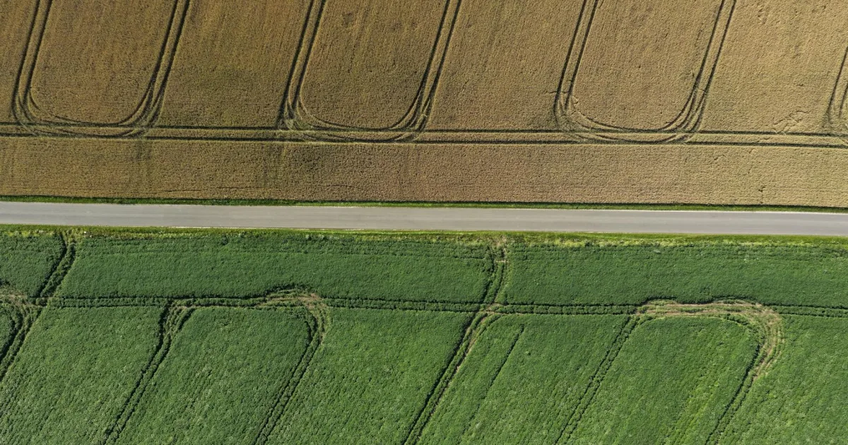 Downtown Ackerman, MS, MS