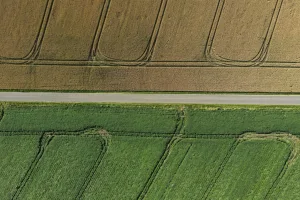 Downtown Ackerman, MS, MS