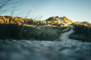 Downtown Adrian, ND, ND