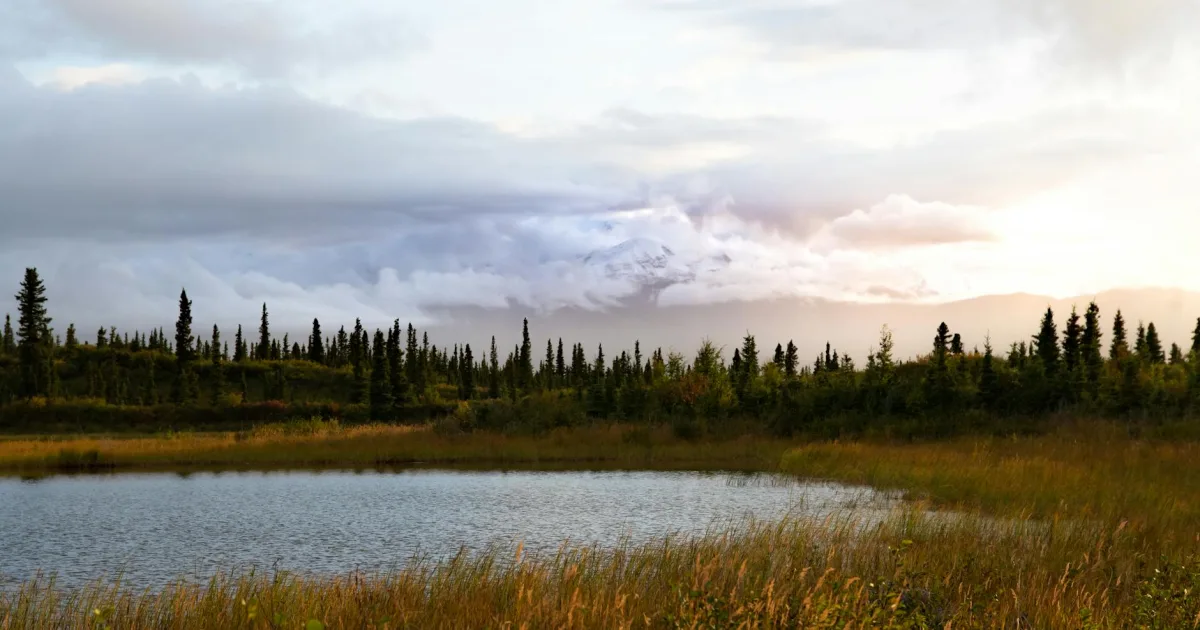 Downtown Alaska, IN, IN