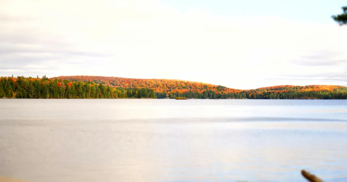 Downtown Algonquin, MD, MD