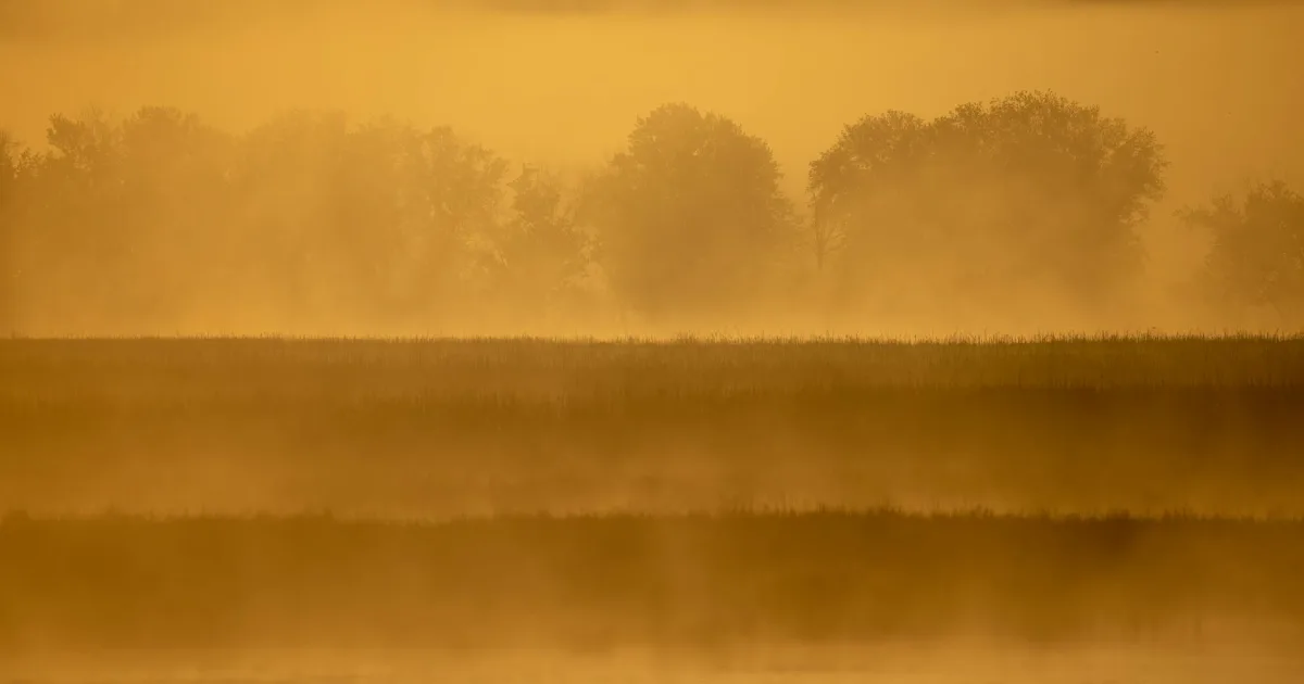 Downtown Alma, WI, WI