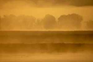 Downtown Alma, WI, WI