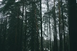 Downtown Amherst, OH, OH