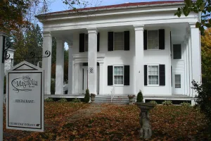 town in Allegany County, New York, United States