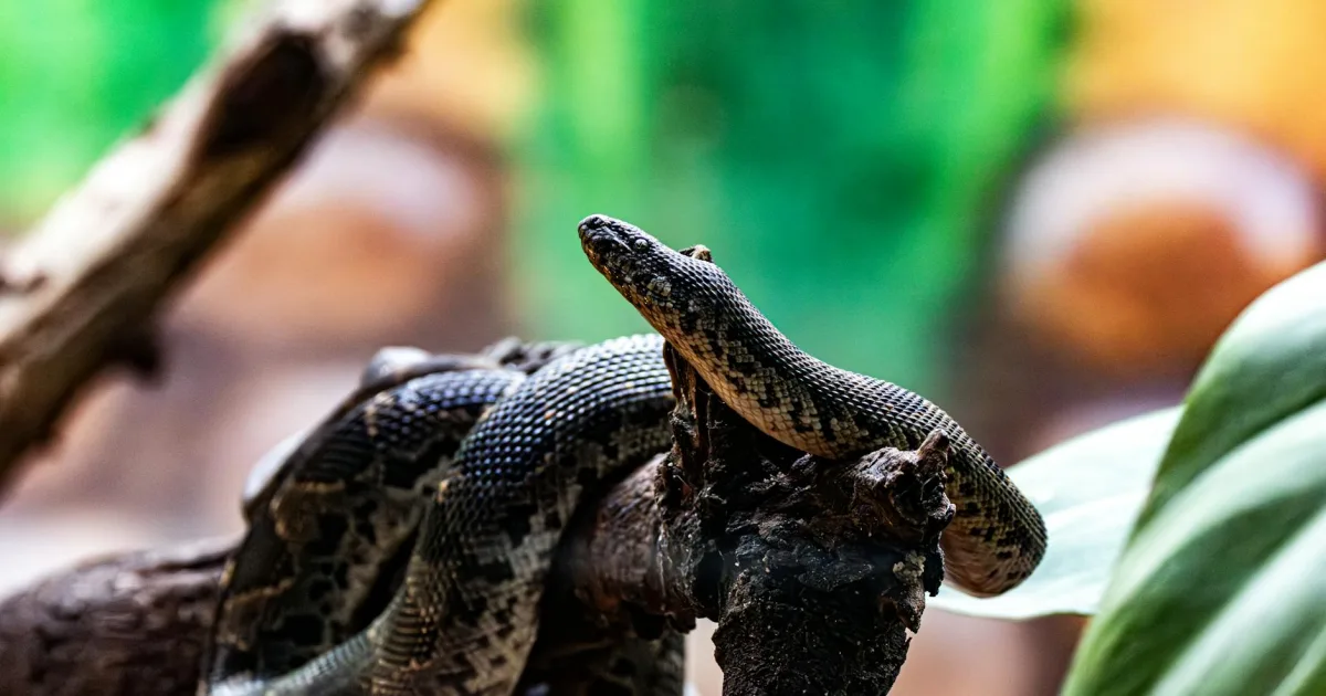 Downtown Anaconda, MT, MT