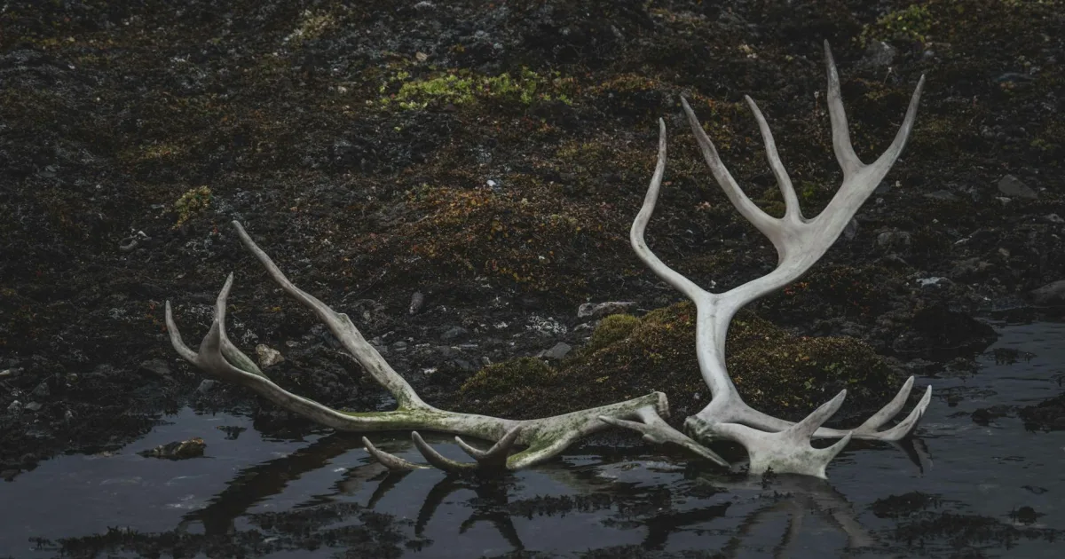 Downtown Antlers, OK, OK