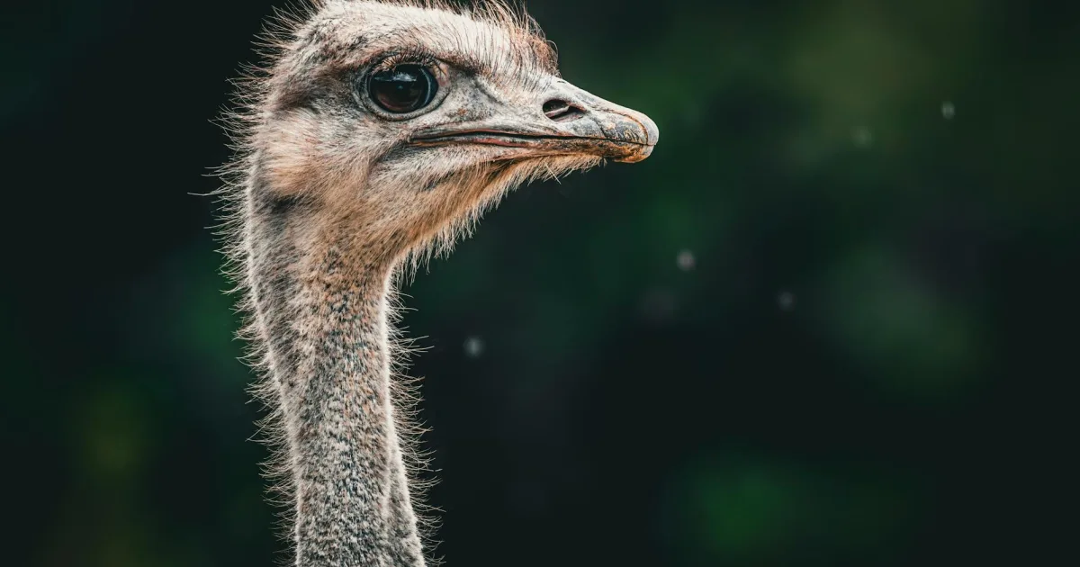 Downtown Apache, OK, OK