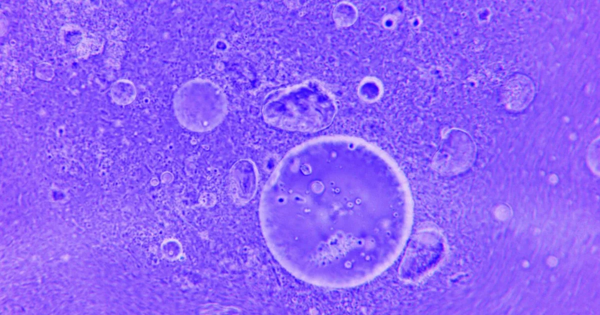 Downtown Aquilla, AL, AL