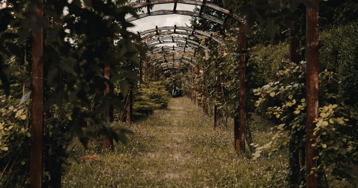 Downtown Arbor Vitae, WI, WI