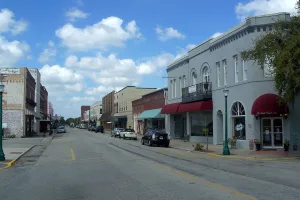 city in DeSoto County, Florida, United States