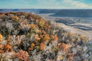 Downtown Arden Hills, MN, MN