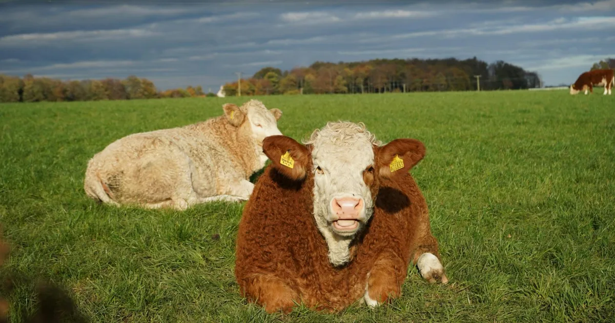 Downtown Arnold, PA, PA