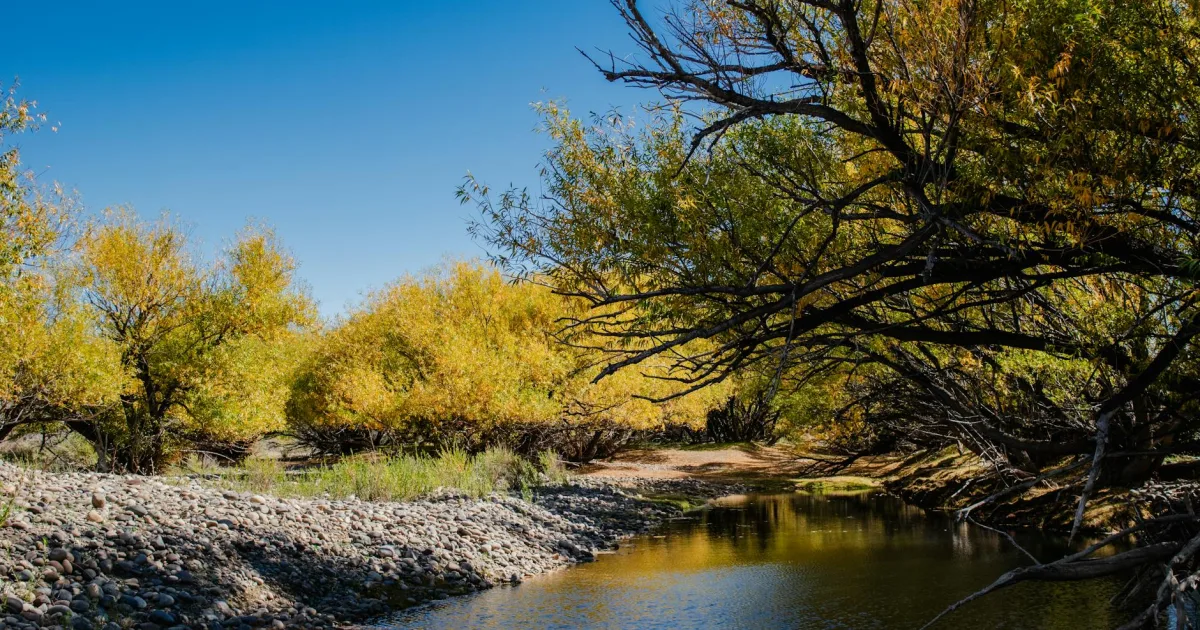 Downtown Arroyo Seco, NM, NM