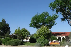 Downtown Artesia, NM, NM