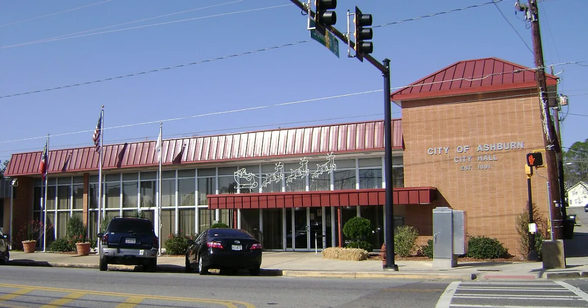 city in Turner County, Georgia, United States