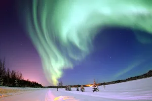 natural light display that occurs in the sky, primarily at high latitudes (near the Arctic and Antarctic on Earth) or even on other planets