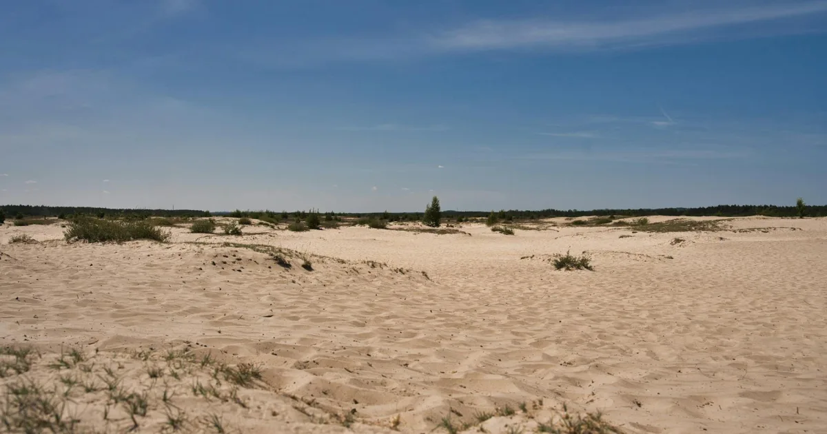 Downtown Aux Sable, IL, IL