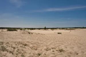 Downtown Aux Sable, IL, IL