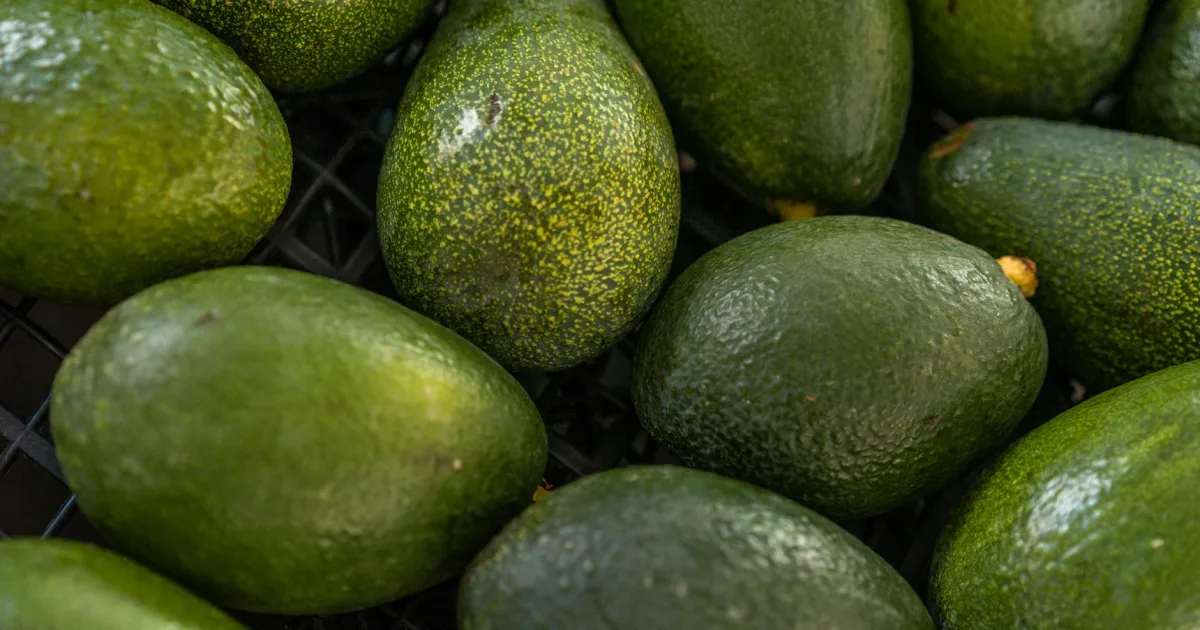 Downtown Avondale, PA, PA