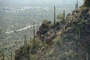 valley in Arizona, United States of America