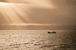 Downtown Aynor, SC, SC