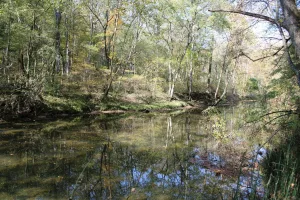 Downtown Ballenger Creek, MD, MD