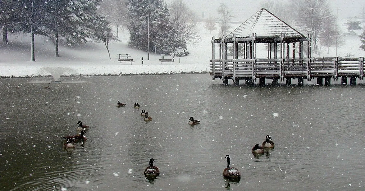 city in St. Louis County, Missouri, United States