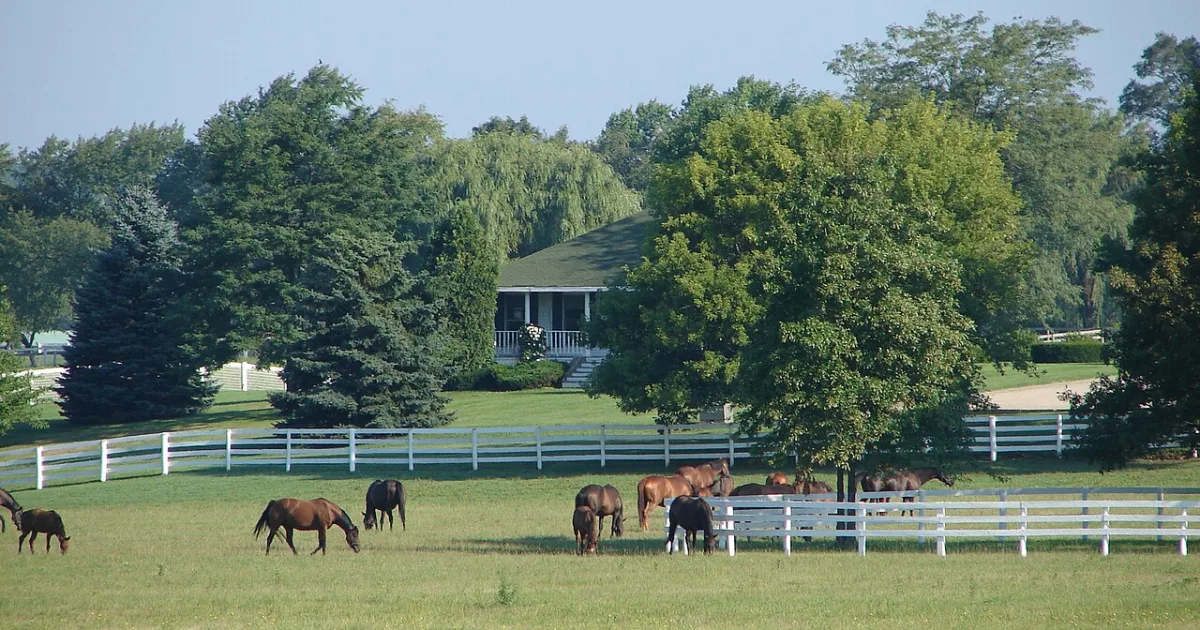 village in Illinois, United States