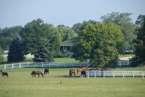 village in Illinois, United States