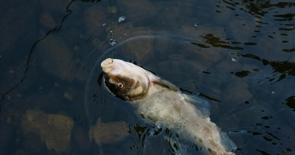 Downtown Bass River, NJ, NJ