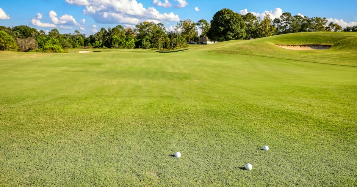 Downtown Bay Hill, FL, FL