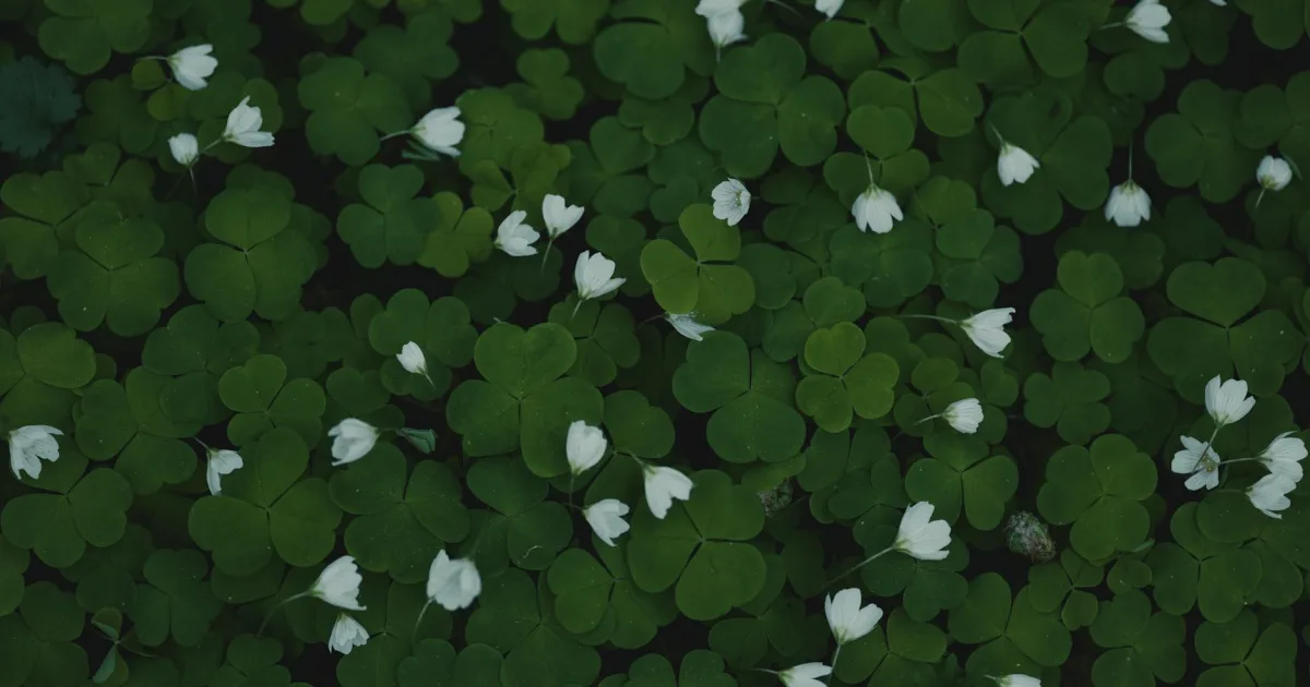 Downtown Bayou Sorrel, LA, LA