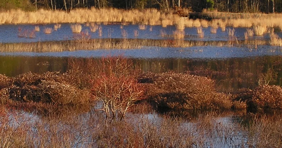human settlement in Berkeley Township, New Jersey, United States of America