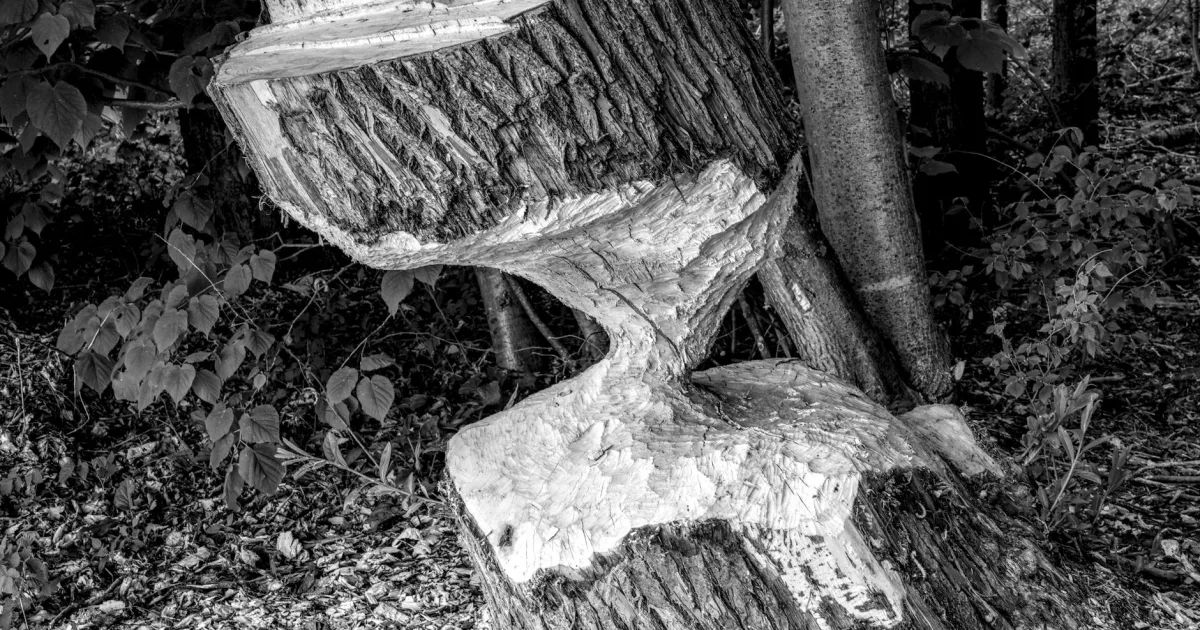 Downtown Beaver Falls, PA, PA