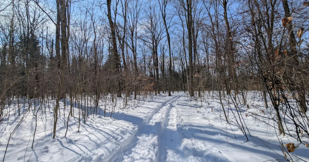 Downtown Beechwood Trails, OH, OH