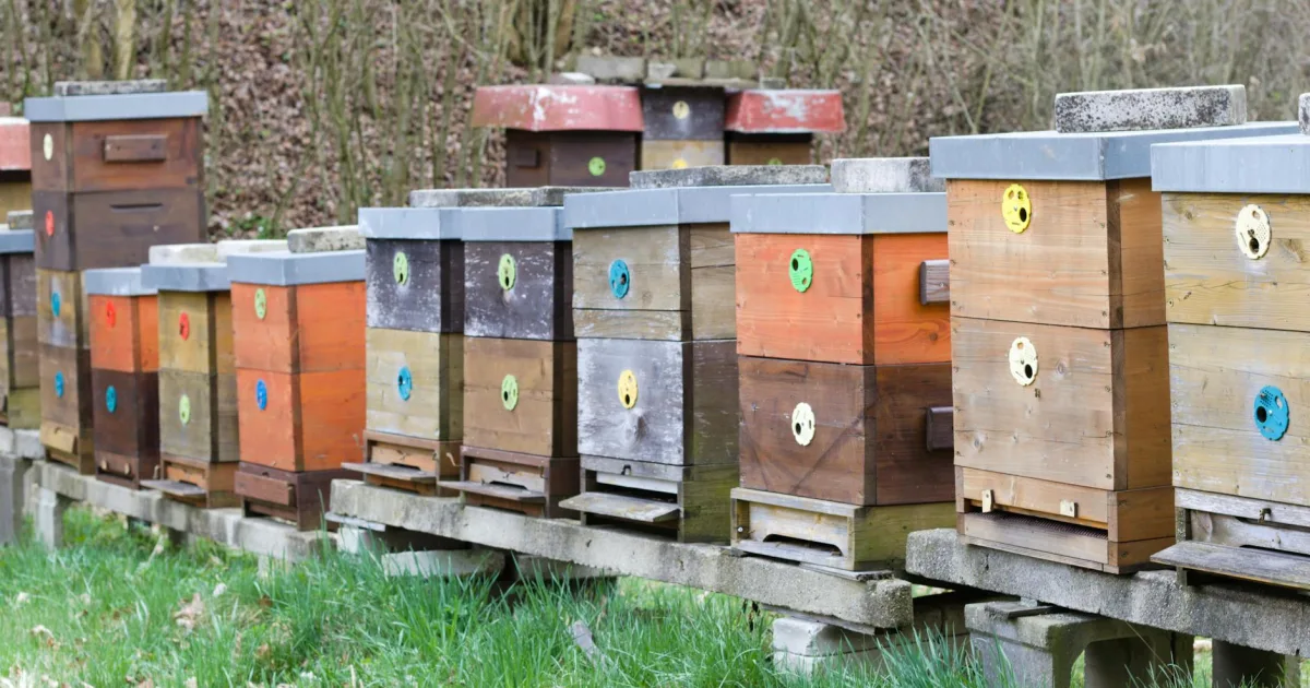 Downtown Beehive, AL, AL