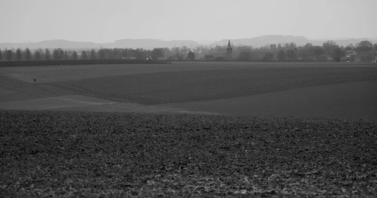 Downtown Belle Plaine, KS, KS