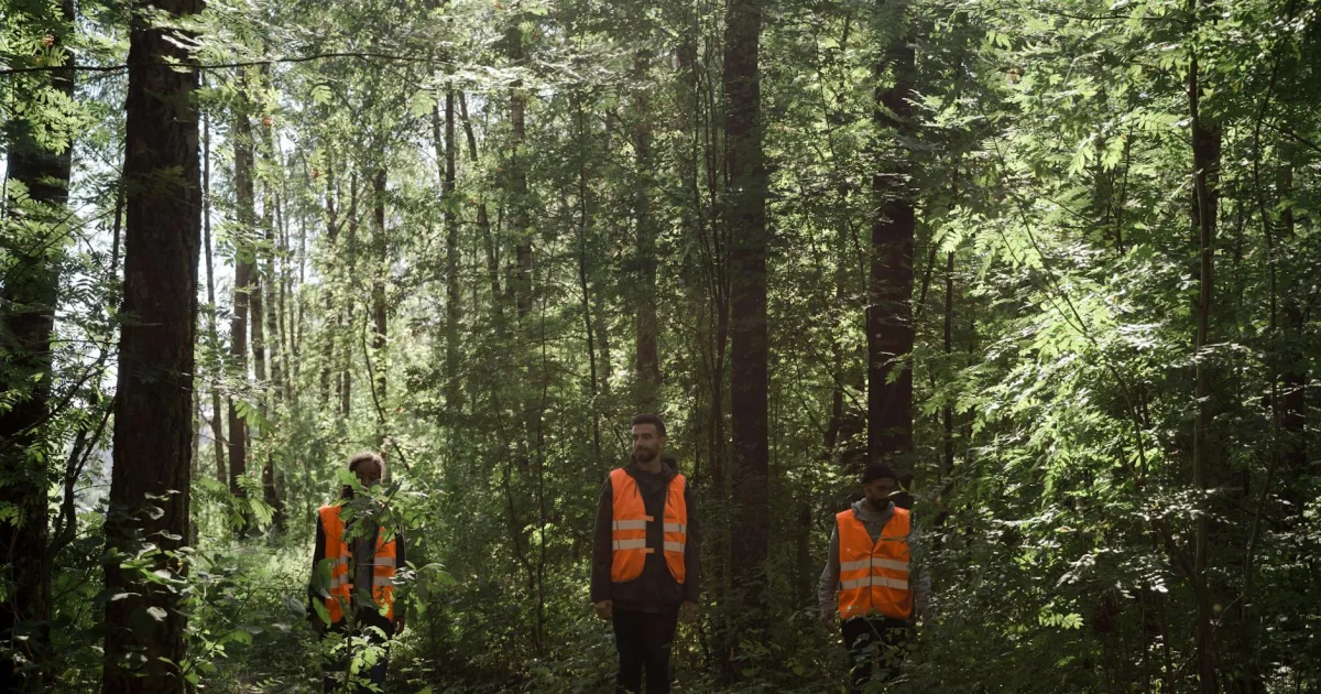 Downtown Bellwood, NE, NE