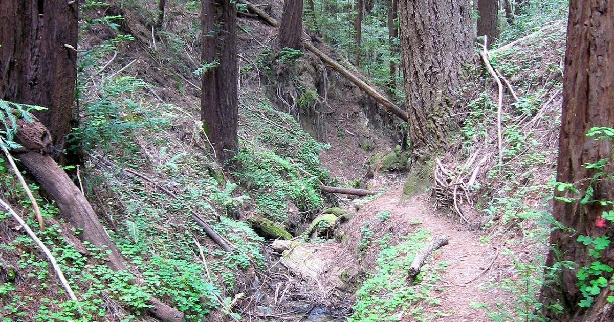 census designated place in Santa Cruz County, California, United States