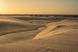 Downtown Berkley, MA, MA