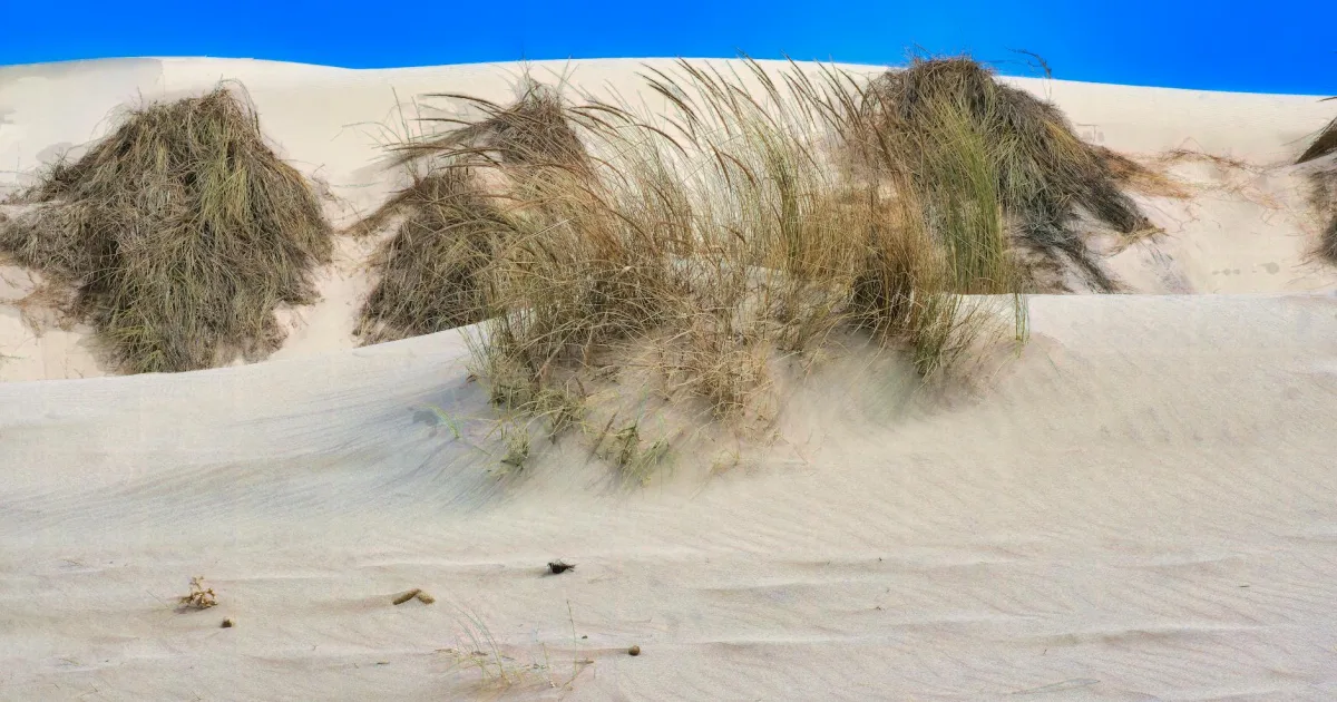 Downtown Bermuda Dunes, CA, CA