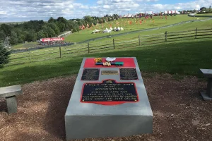 town in Sullivan County, New York, USA