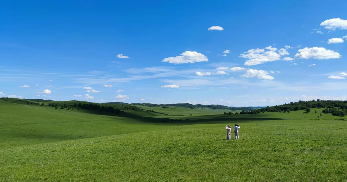 Downtown Big Prairie, MI, MI