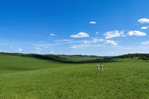 Downtown Big Prairie, MI, MI