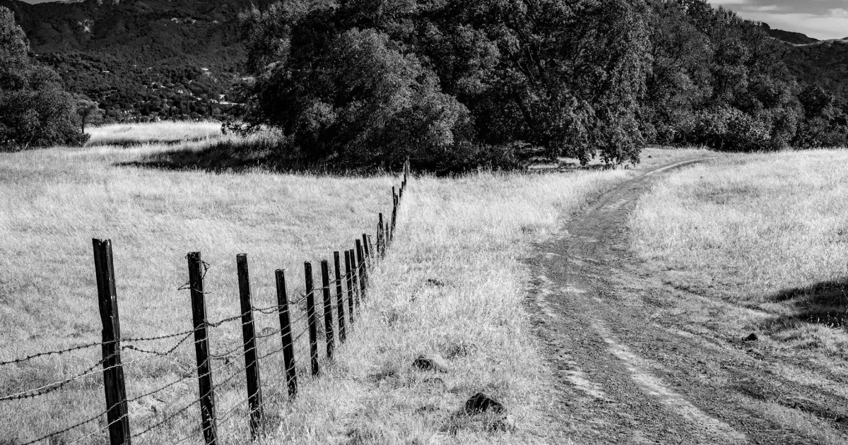 Downtown Black Meadow Landing, CA, CA