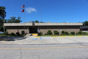 city in Pierce County, Georgia, USA