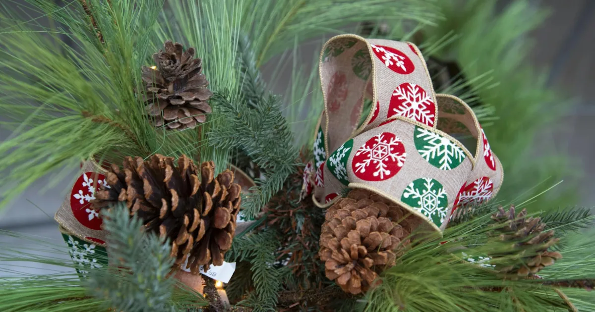 Downtown Bladenboro, NC, NC